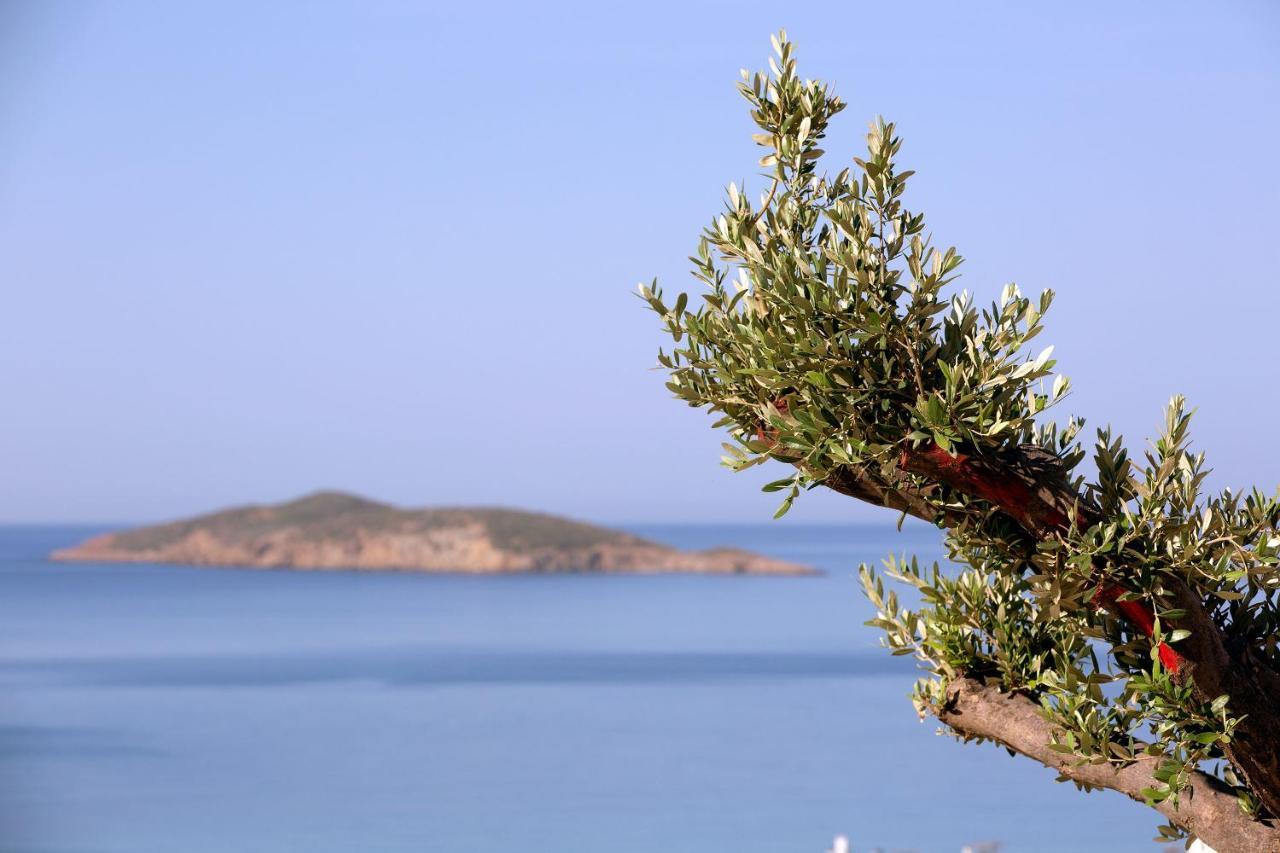 Elia Privileged Suites Andros Ανδροσ Kültér fotó